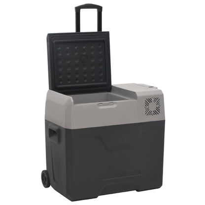 Borsa Frigo con Ruote Adattatore Nera Grigia 50 L Polipropilene | homemem39
