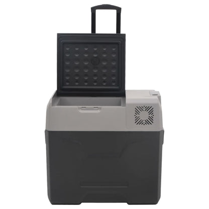 Borsa Frigo con Ruote Adattatore Nera Grigia 50 L Polipropilene | homemem39