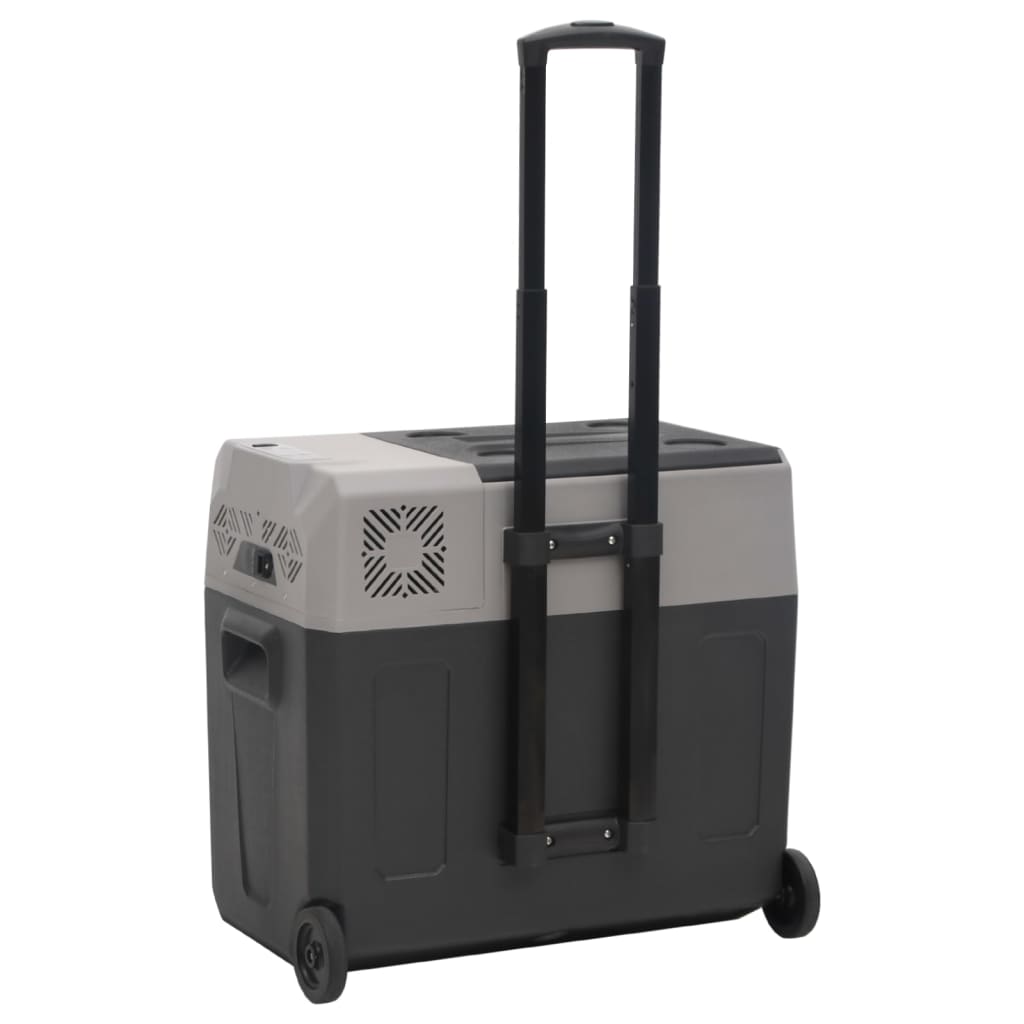 Borsa Frigo con Ruote Adattatore Nera Grigia 50 L Polipropilene | homemem39