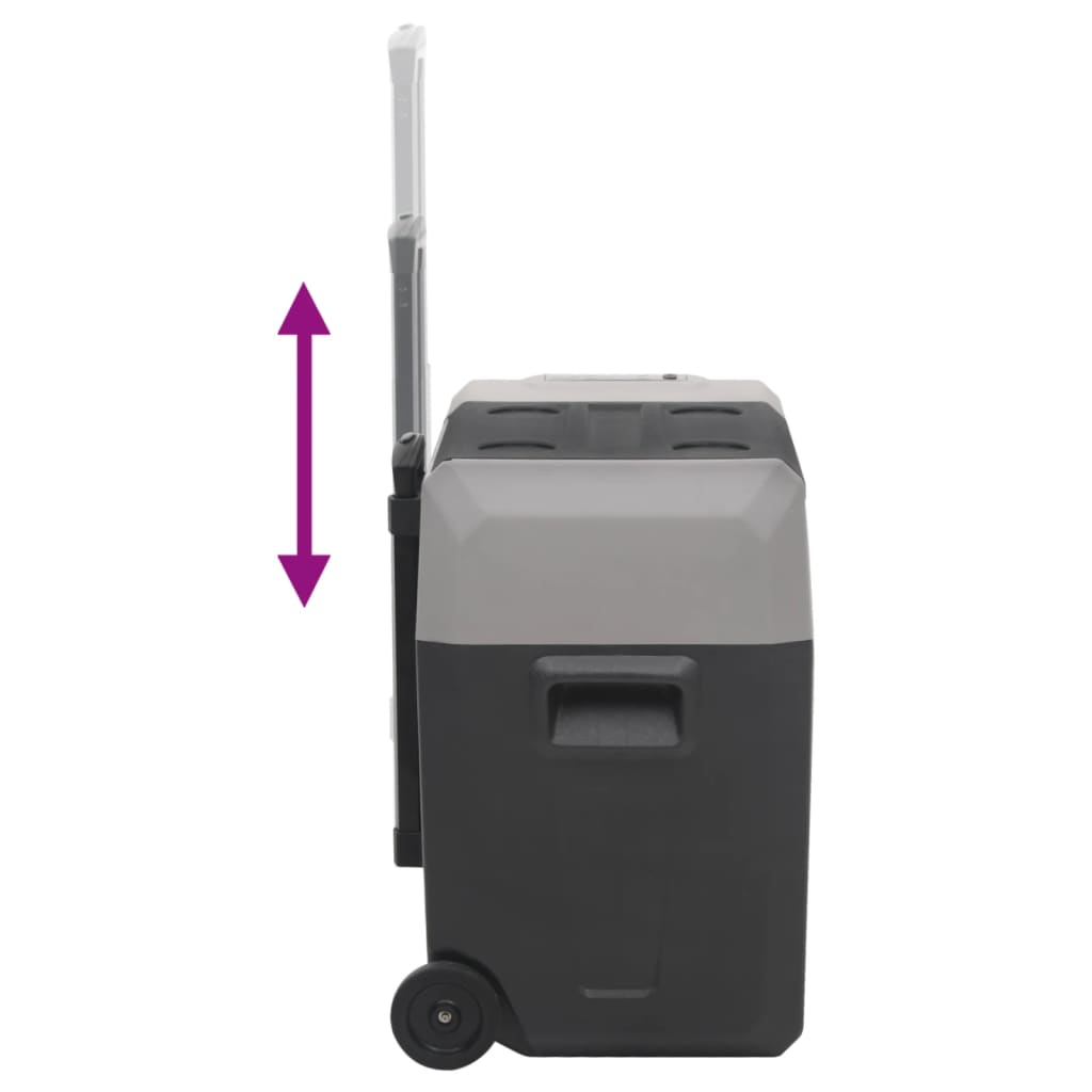 Borsa Frigo con Ruote Adattatore Nera Grigia 50 L Polipropilene | homemem39