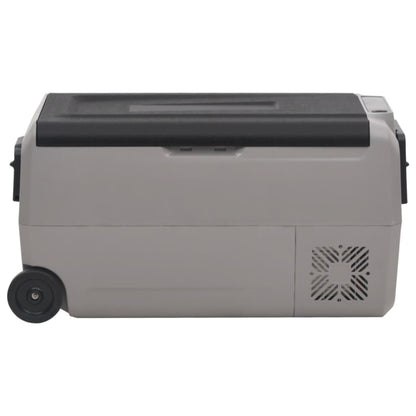 Borsa Frigo con Ruote e Adattatore Nera e Grigia 50 L PP e PE | homemem39