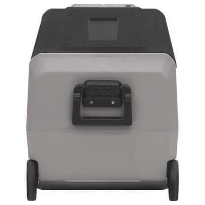 Borsa Frigo con Ruote e Adattatore Nera e Grigia 50 L PP e PE | homemem39