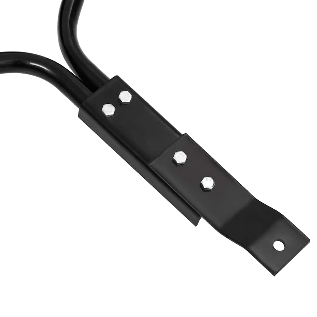 Rullo da Giardino a Spinta Nero 63 L Ferro | homemem39