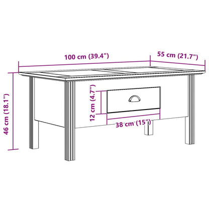 Tavolino da Salotto BODO 100x55x46cm Legno Massello Pino Grigio | homemem39