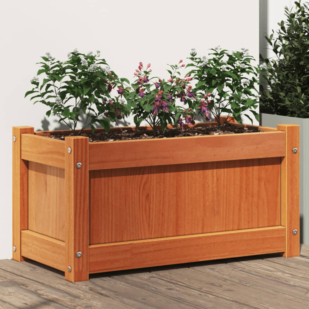 Fioriera Giardino Marrone Cera 60x31x31 cm Legno Massello Pino | homemem39
