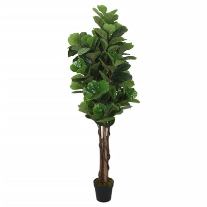 Albero Ficus Lyrata 232 Foglie 180 cm Verde