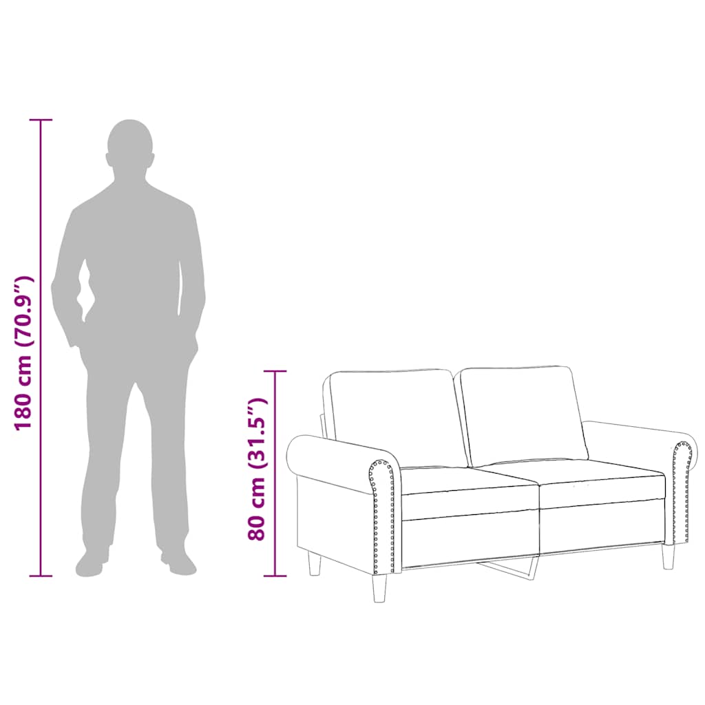 Divano a 2 Posti Grigio Chiaro 120 cm in Velluto | homemem39