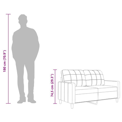 Divano a 2 Posti Nero 120 cm in Tessuto | homemem39