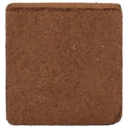 Blocchi in Fibra di Cocco 5 pz 5 kg Ciascuno 25 kg Totale | homemem39