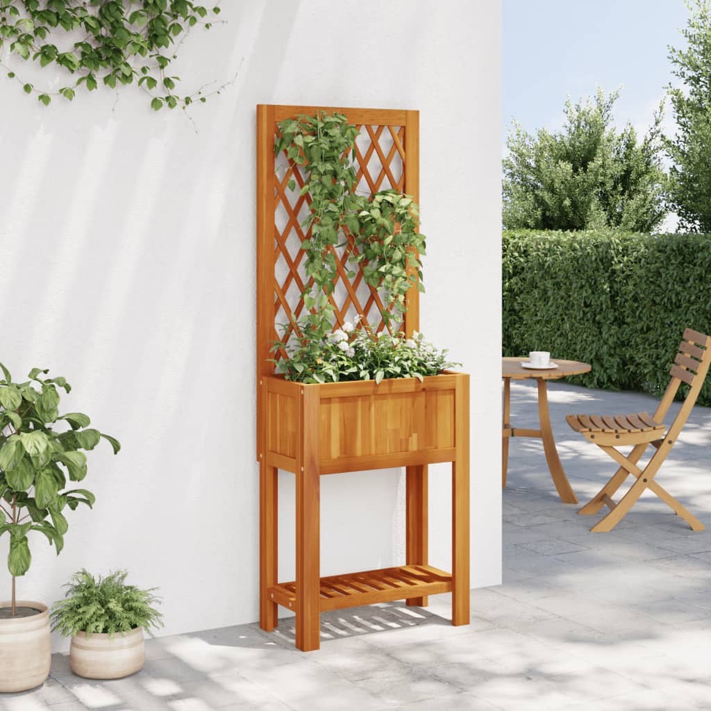 Planter with Trellis and Shelf 55x29.5x152 cm in Acacia Wood
