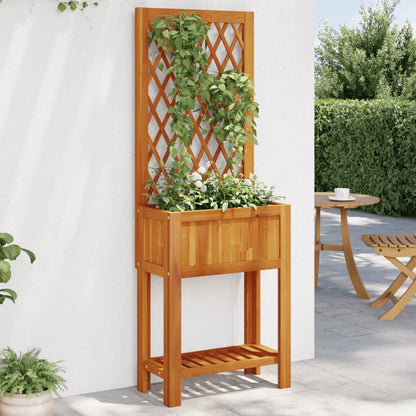 Planter with Trellis and Shelf 55x29.5x152 cm in Acacia Wood