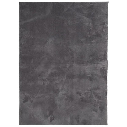 Tappeto Pelo Corto HUARTE Morbido Lavabile Antracite 200x280 cm