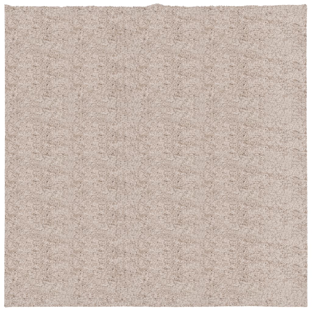 Tappeto Shaggy PAMPLONA a Pelo Lungo Moderno Beige 160x160 cm - homemem39