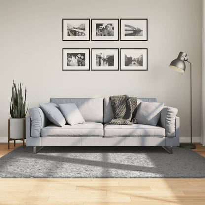 Tappeto Shaggy PAMPLONA a Pelo Lungo Moderno Grigio 140x200 cm - homemem39