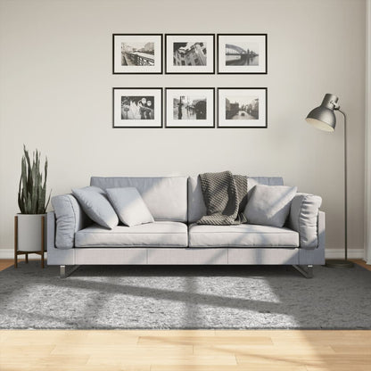 Tappeto Shaggy PAMPLONA a Pelo Lungo Moderno Grigio 160x230 cm - homemem39