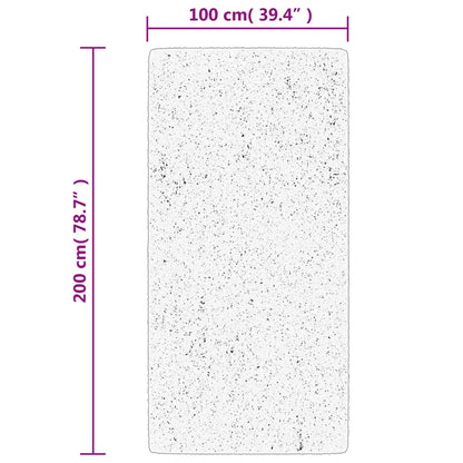 Tappeto Shaggy PAMPLONA Pelo Lungo Beige e Antracite 100x200cm