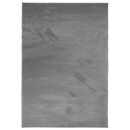 Tappeto OVIEDO a Pelo Corto Antracite 160x230 cm | homemem39