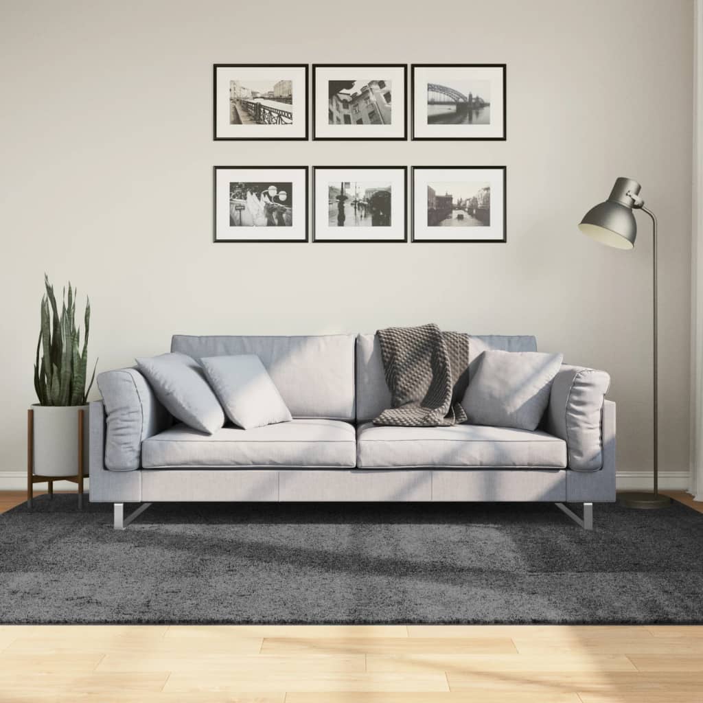 Tappeto OVIEDO a Pelo Corto Antracite 160x230 cm | homemem39