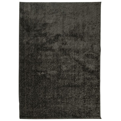 Tappeto a Pelo Lucido Lungo ISTAN Effetto Antracite 120x170 cm - homemem39
