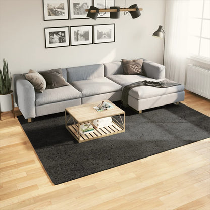 Tappeto a Pelo Lucido Lungo ISTAN Effetto Antracite 200x280 cm - homemem39
