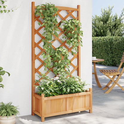 Planter with Brown Trellis in Solid Fir Wood