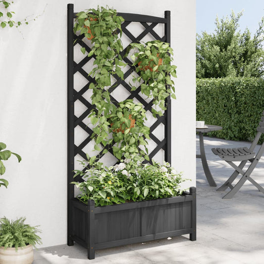 Planter with Black Trellis in Solid Fir Wood