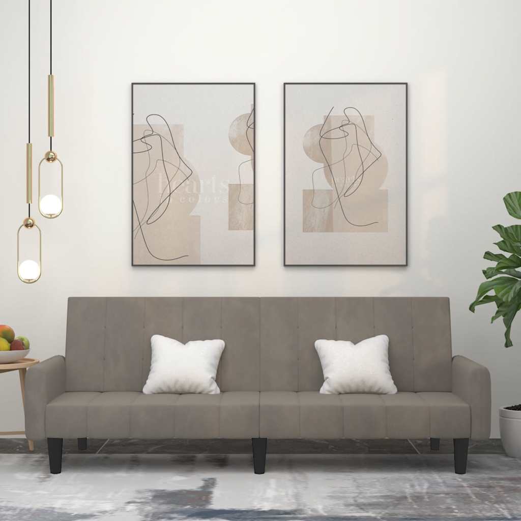 Divano Letto a 2 Posti Grigio Chiaro in Velluto - homemem39