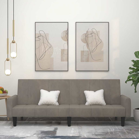 Divano Letto a 2 Posti Grigio Chiaro in Velluto - homemem39