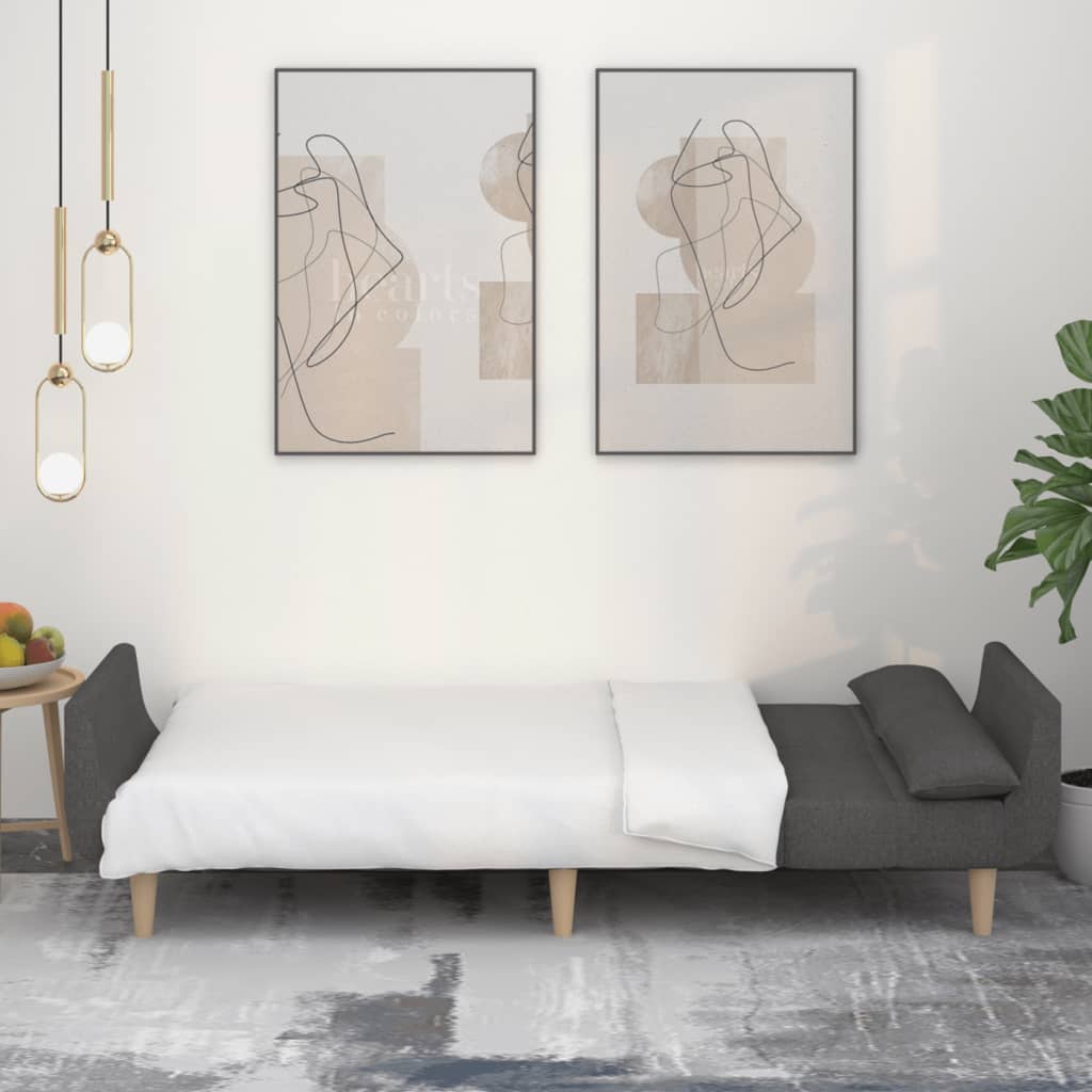 Divano Letto a 2 Posti con 2 Cuscini Grigio Scuro in Tessuto - homemem39