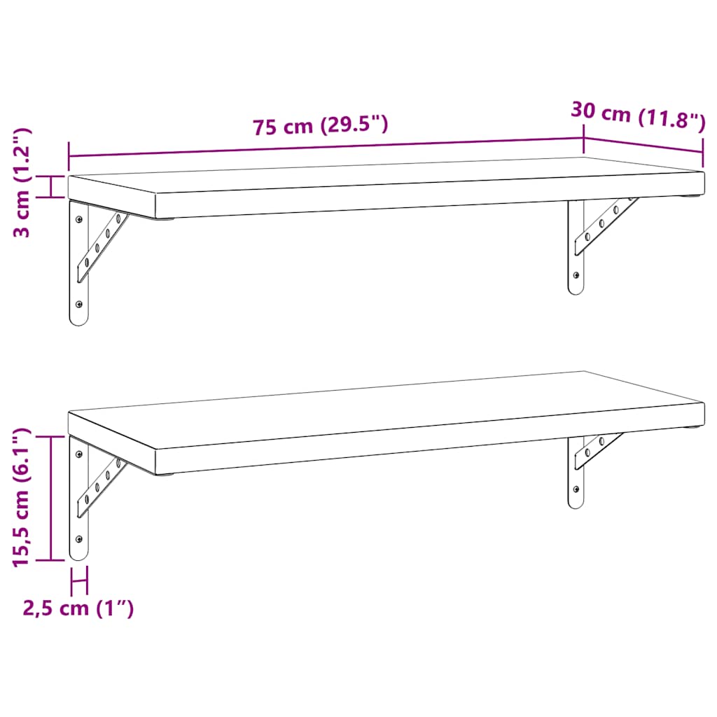 Mensole a Muro 2 pz 75x30 cm Argento in Acciaio Inossidabile