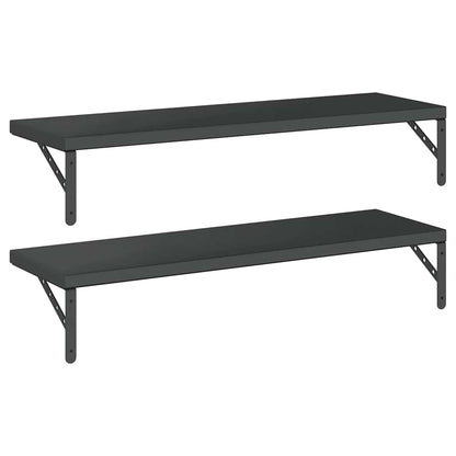 Mensole a Muro 2 pz 100x30 cm Nero in Acciaio Inossidabile