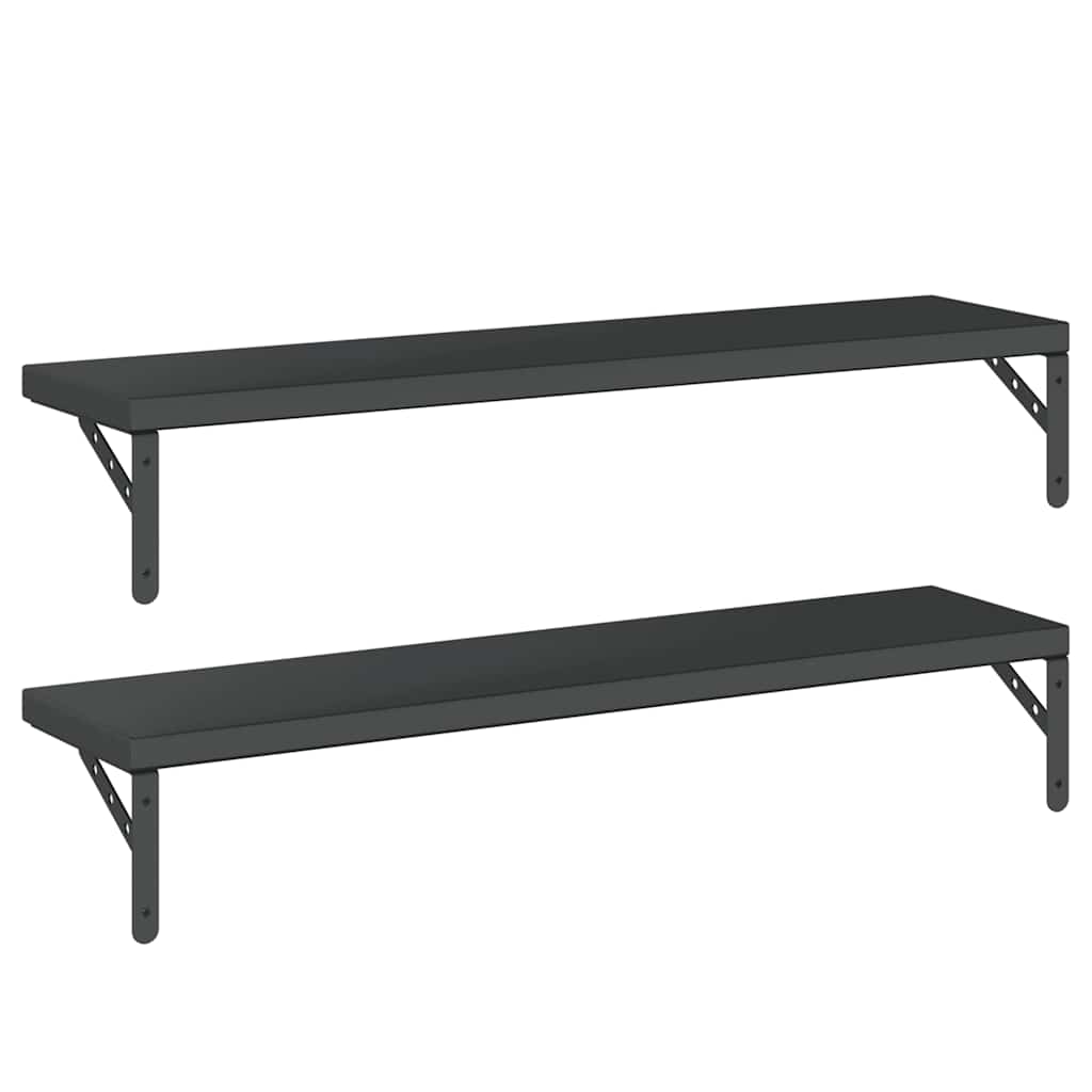 Mensole a Muro 2 pz 100x23,5 cm Nero in Acciaio Inossidabile | homemem39