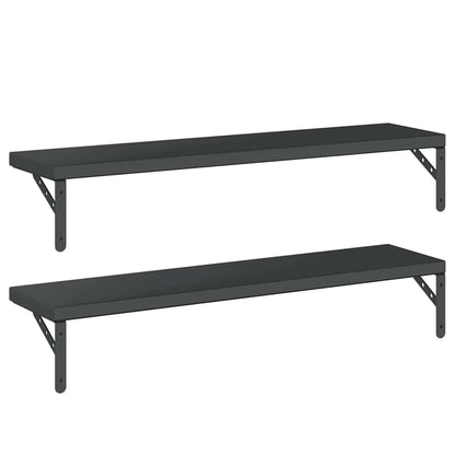 Mensole a Muro 2 pz 100x23,5 cm Nero in Acciaio Inossidabile