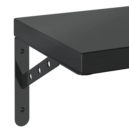 Mensole a Muro 2 pz 100x23,5 cm Nero in Acciaio Inossidabile
