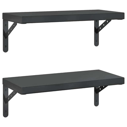 Mensole a Muro 2 pz 50x23,5 cm Nero in Acciaio Inossidabile | homemem39