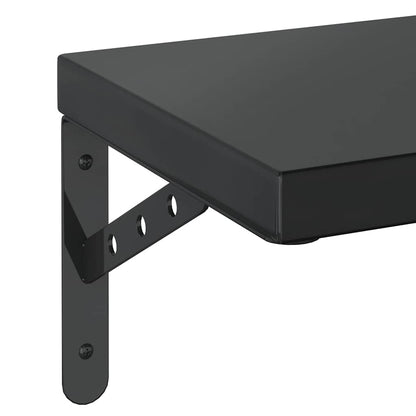 Mensole a Muro 2 pz 50x23,5 cm Nero in Acciaio Inossidabile