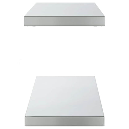 Mensole a Muro 2pz 100x23,5cm Argento in Acciaio Inossidabile | homemem39