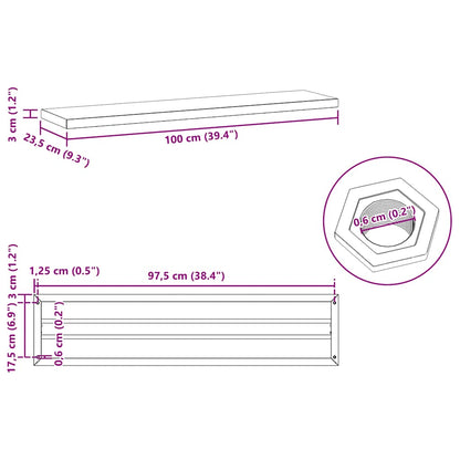 Mensole a Muro 2pz 100x23,5cm Argento in Acciaio Inossidabile | homemem39