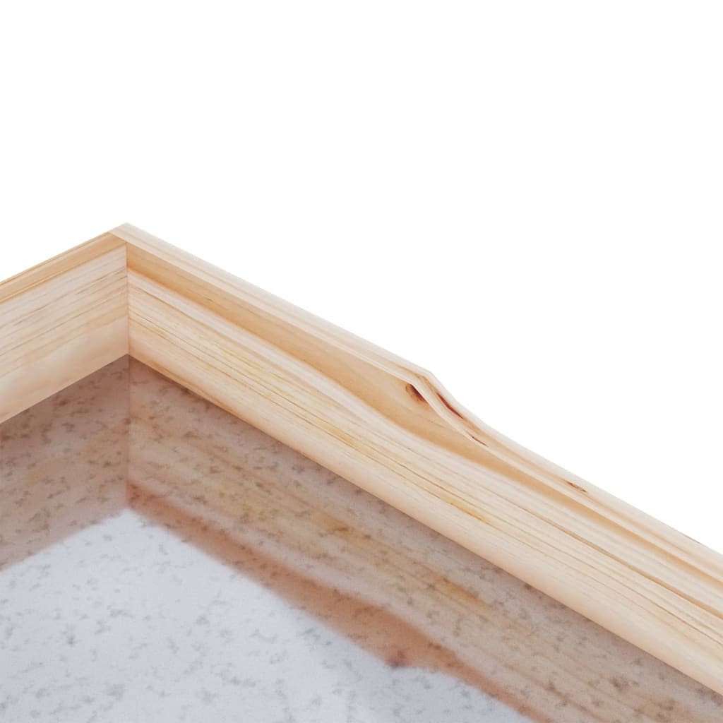 Tavolo Piante con Ripiani 78x38x,82,5cm Legno Massello Abete - homemem39