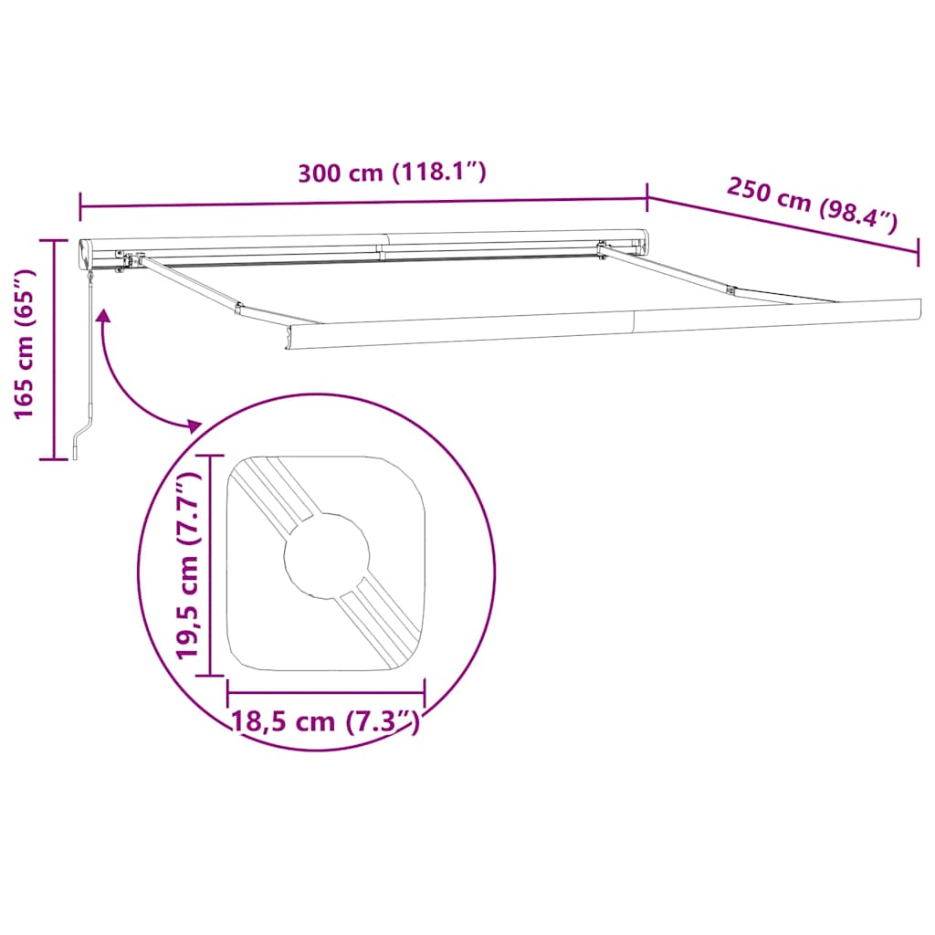 Tenda Sole Retrattile Manuale 300x250 cm Marrone - homemem39