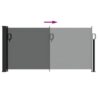 Tenda da sole laterale retrattile antracite 100x300 cm