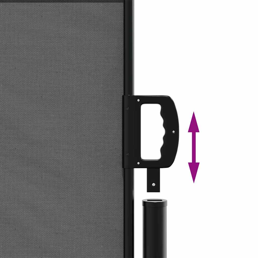 Tenda da sole laterale retrattile antracite 100x300 cm | homemem39