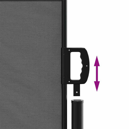 Tenda da sole laterale retrattile antracite 100x300 cm | homemem39
