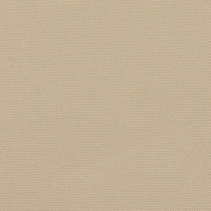 Tenda Laterale Retrattile Beige 170x300 cm | homemem39