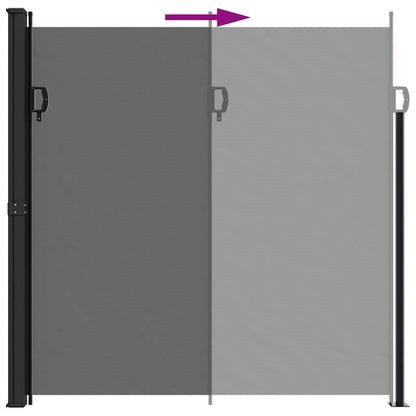 Tenda da sole laterale retrattile antracite 200x300 cm | homemem39
