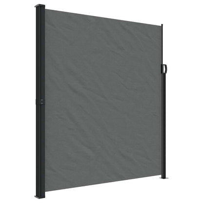 Tenda da sole laterale retrattile antracite 220x300 cm | homemem39