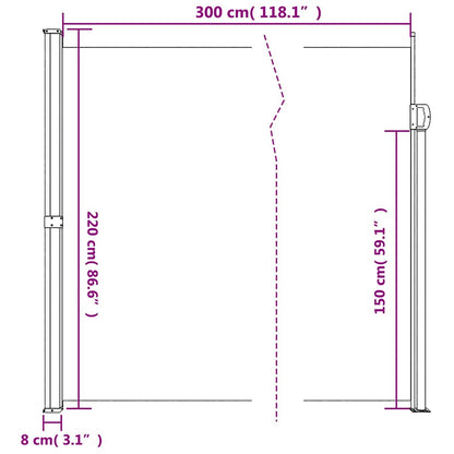 Tenda da sole laterale retrattile antracite 220x300 cm | homemem39