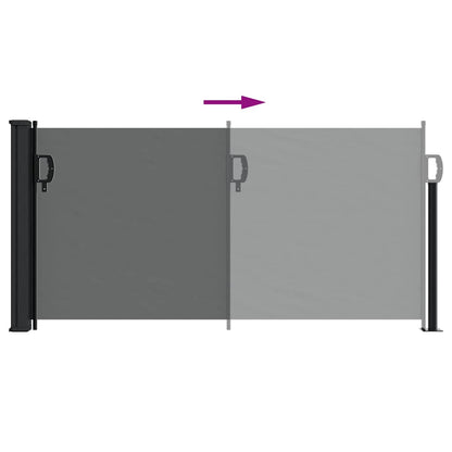 Tenda da sole laterale retrattile antracite 100x500 cm | homemem39