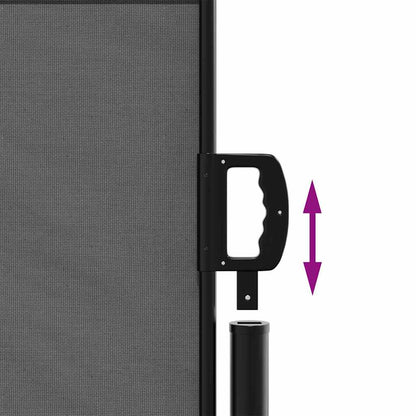 Tenda da sole laterale retrattile antracite 100x500 cm | homemem39