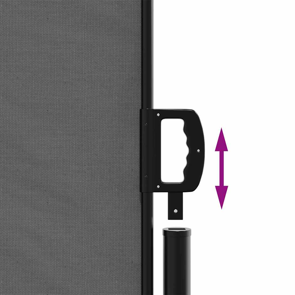 Tenda da Sole Laterale Retrattile Antracite 180x500 cm | homemem39
